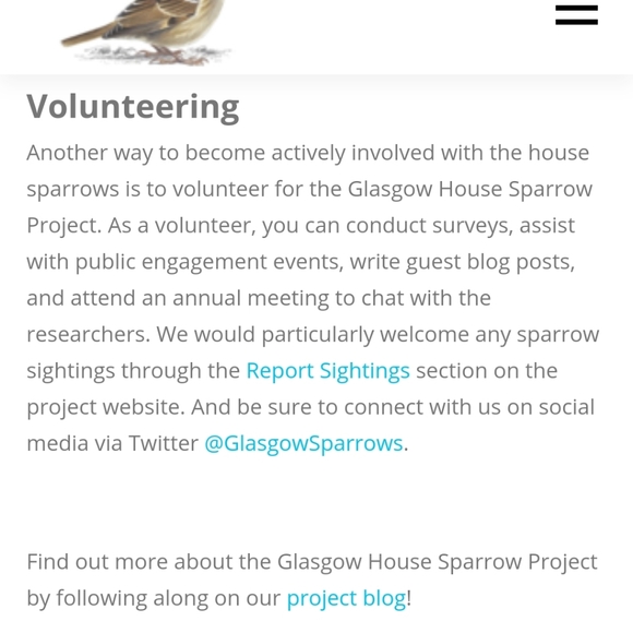 Save the Sparrows! - Picture 6 of 11